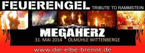 Die Elbe brennt am 31.05.2014 in Wittenberge