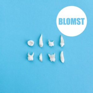 Blomst - Blomst Cover