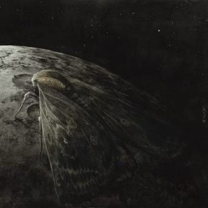 Augrimmer - Moon and the Moth - 2016