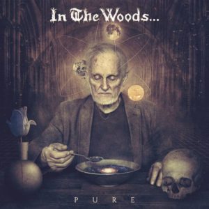 In The Woods - Pure