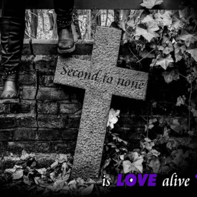 Is Love Alive ? - Second To None