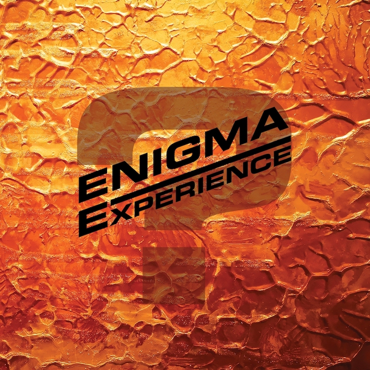 Enigma Experience - Question Mark