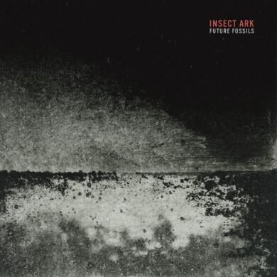 Insect Ark - Future Fossils
