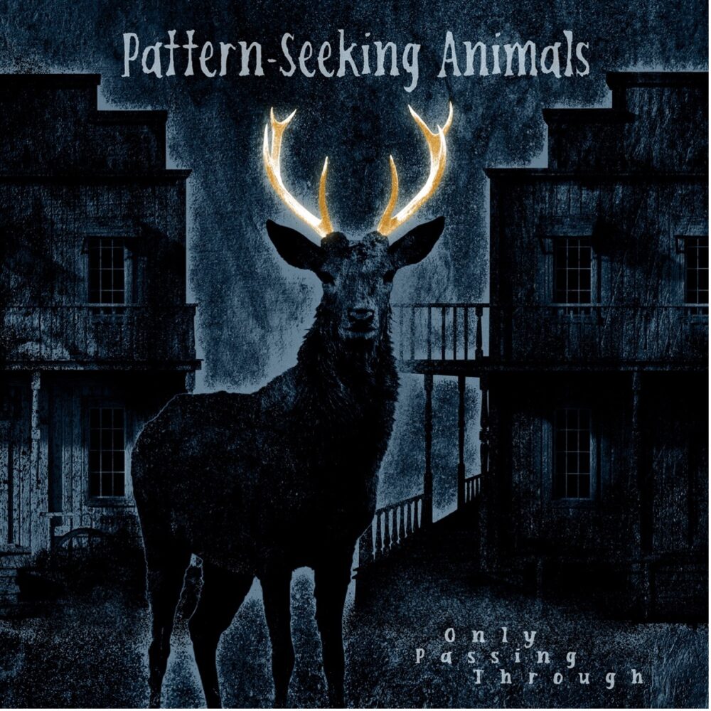 Pattern-Seeking Animals - Only Passing Throug