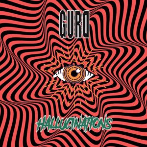 gurD - Hallucination, Albumcover