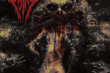 Sijjeel - Salvation Within Insanity- Albumcover