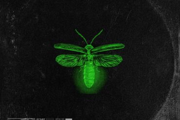 R3VO - Fireflies