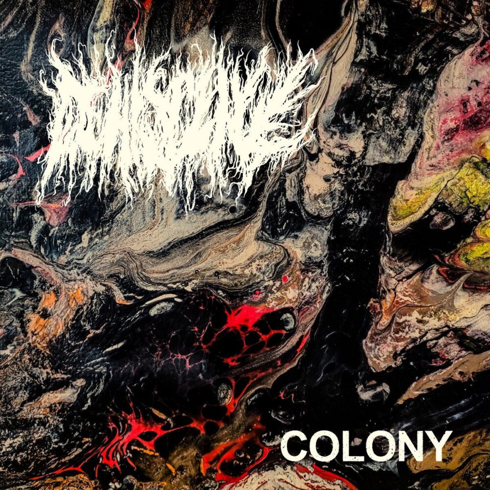 Dehiscence - Colony