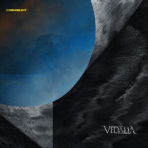 Vedalia - Cormorant