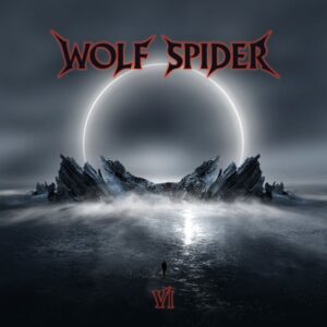 Wolf Spider - VI