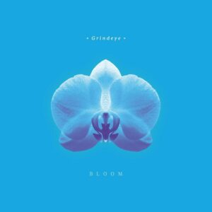 Grindeye – Bloom