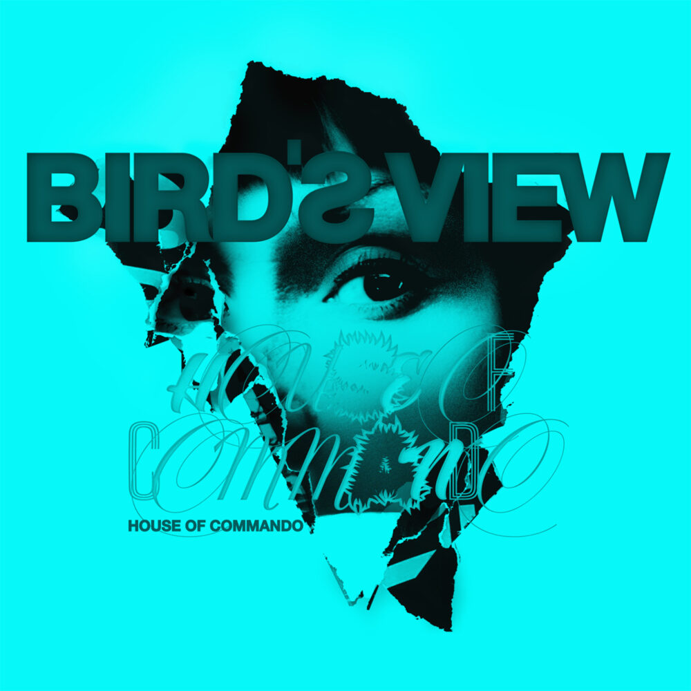 Bird’s View - House Of Commando
