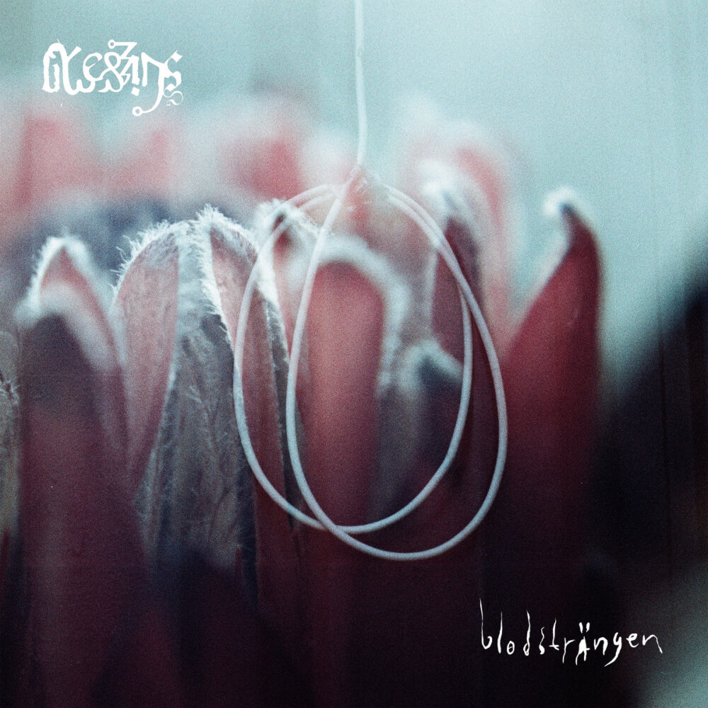 Blessings - Blodsträngen