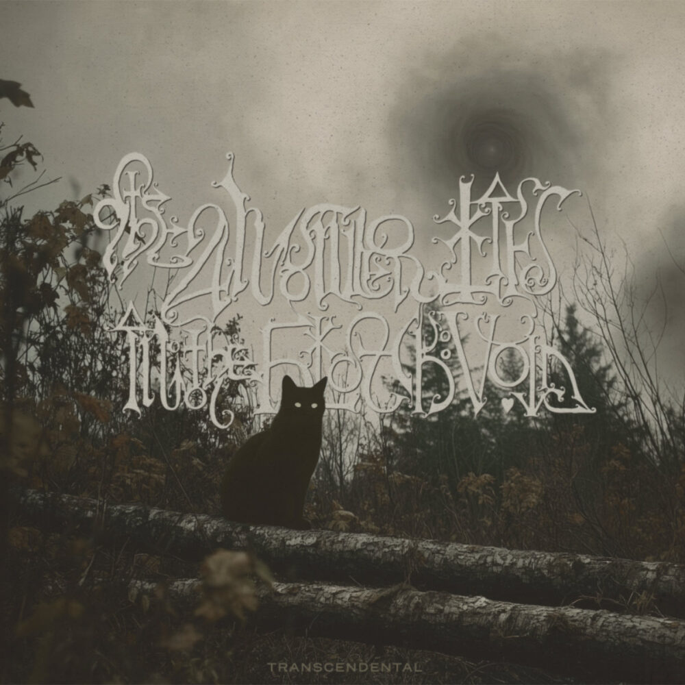 The Answer Lies In The Black Void – Transcendental