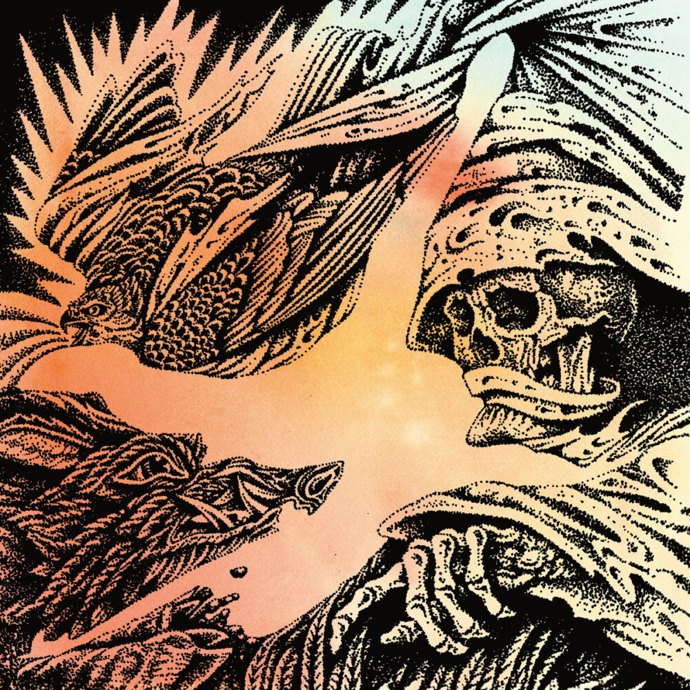 The Heavy Eyes - Focus