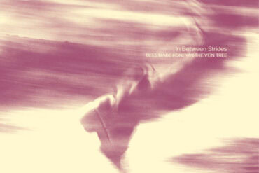 Albumcover von In Between Strides mit fliegendem Vogel im Himmel.